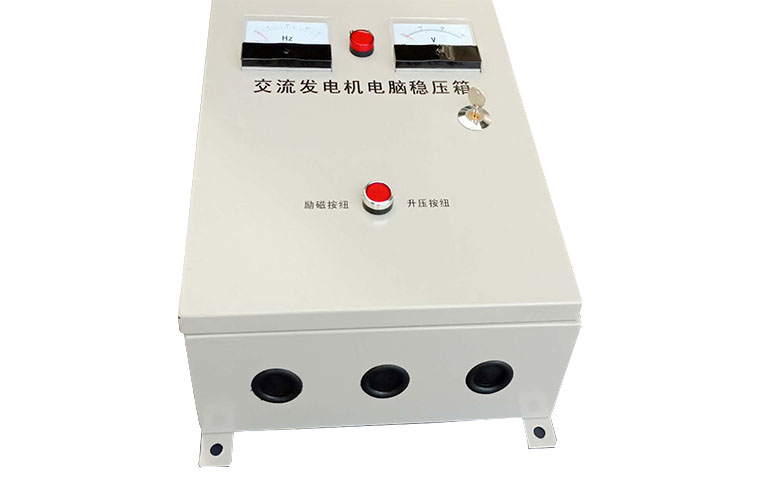 Single phase, alternator, computer regulator box